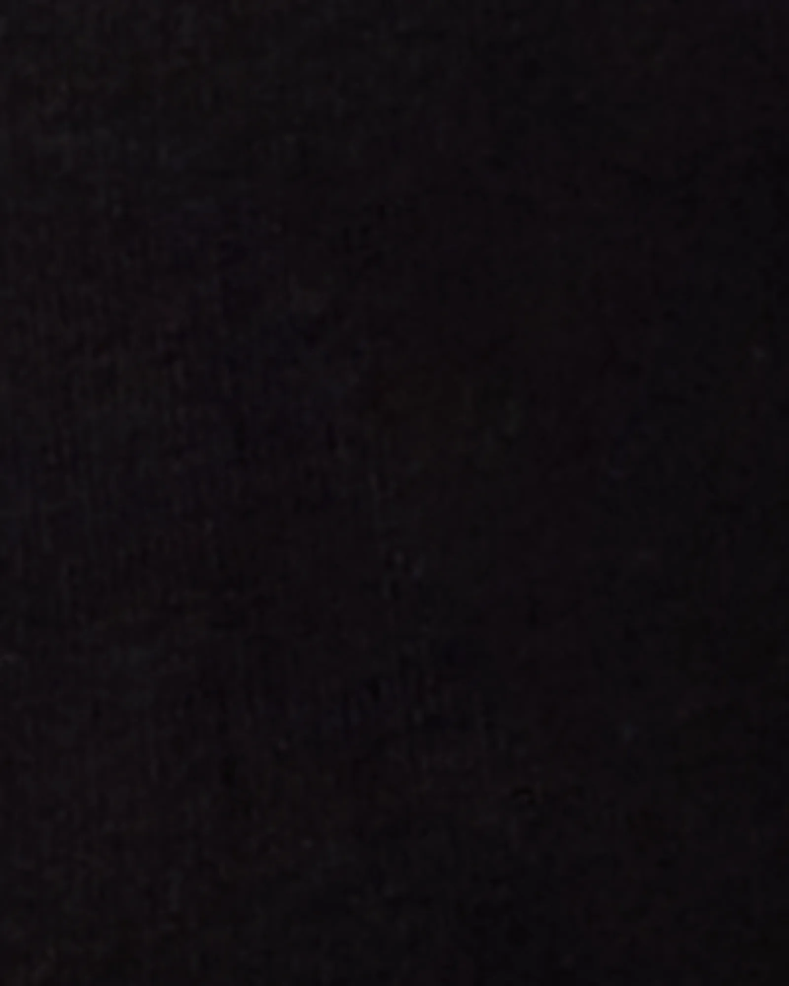 Georgina Half-Sheer Top | Black
